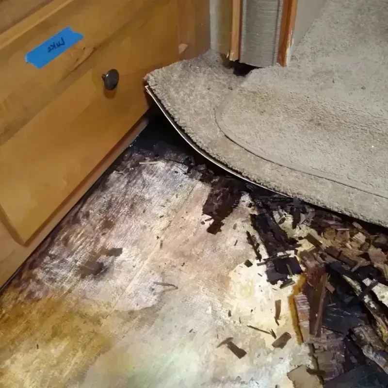 Wood Floor Water Damage in Windemere, TX